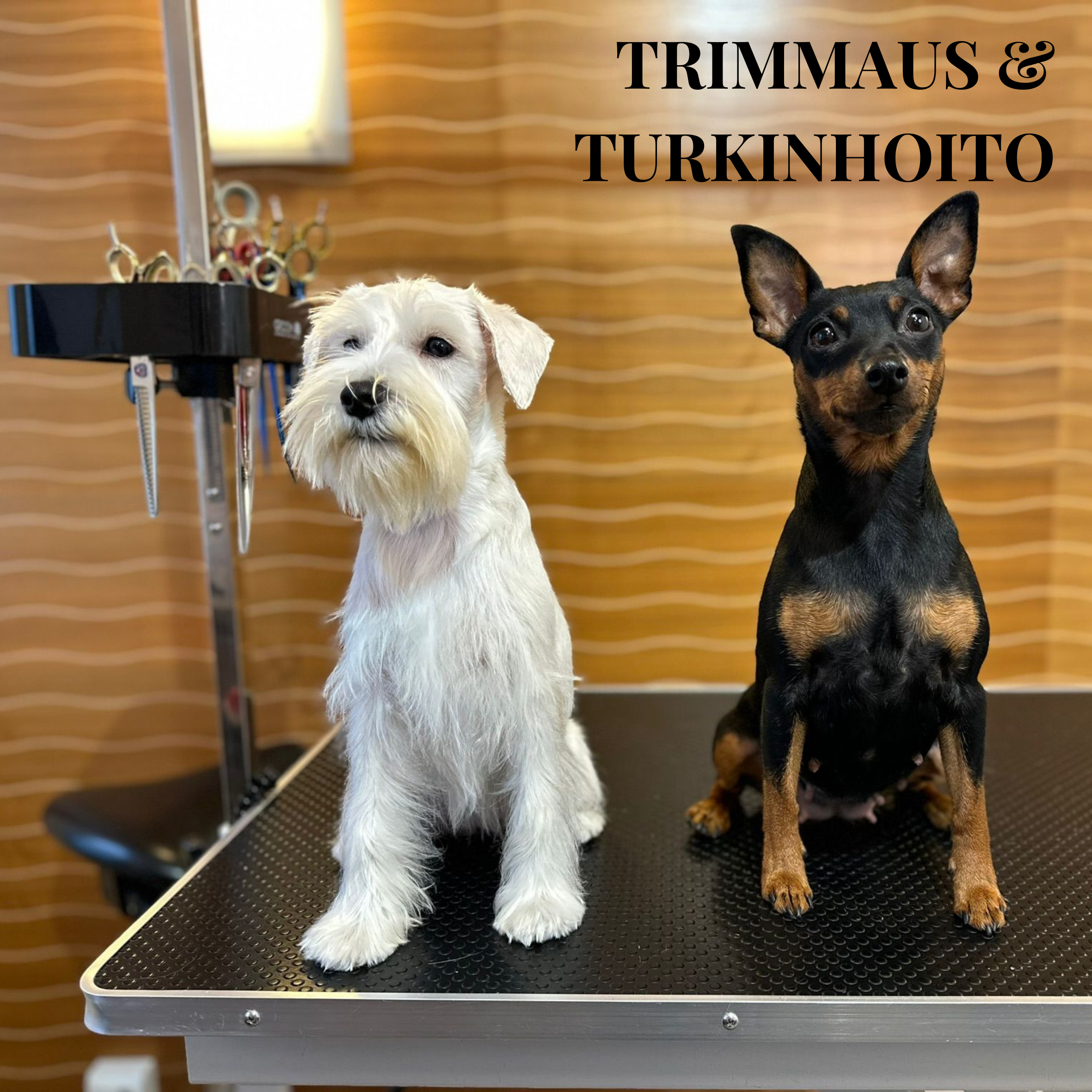 Trimmaus ja turkinhoito